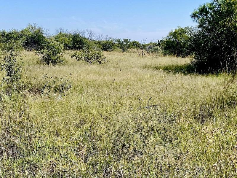 0 Bedroom Property for Sale in Reivilo Rural North West